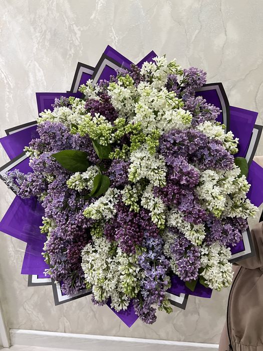 Цветы Сирень продается г Шымкент