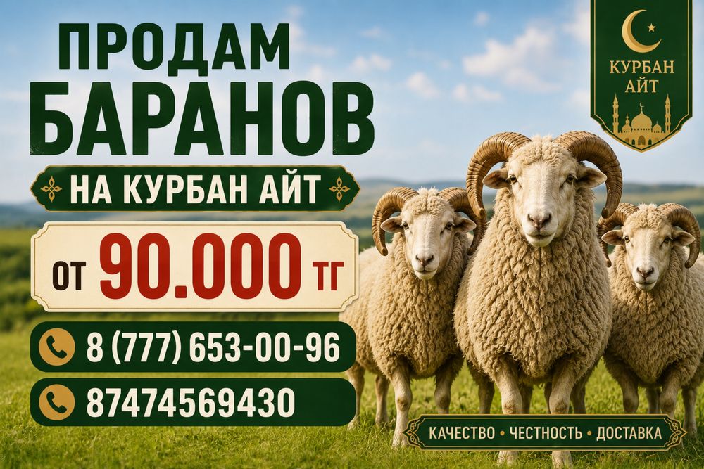 Баран на курбан айт