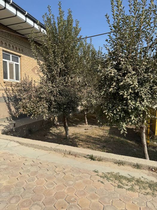 Ҳовли сотилади. 12 сотих