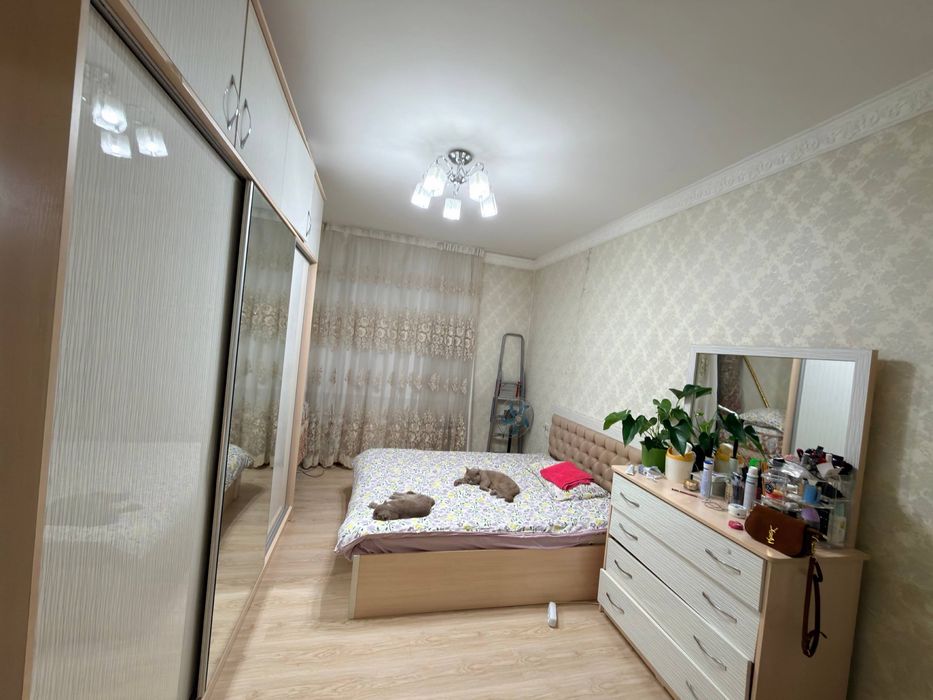 Bez makler sheriklikka qizlar uchun kvartira