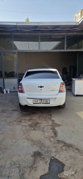 Arenda moshin kobilt