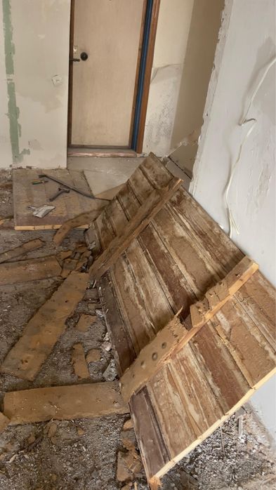 Ағаш полдан шыққан ТЕГІН