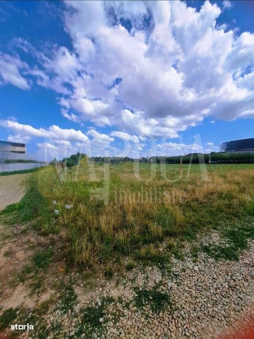 Teren intravilan pentru constructii de vanzare in Cihei, Oradea