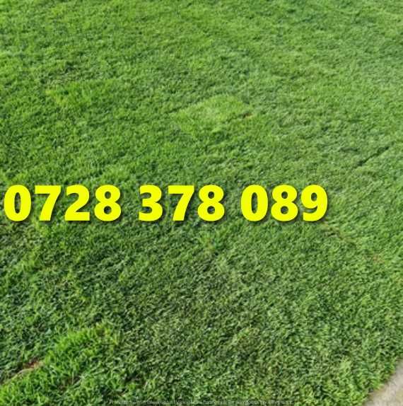 Gazon / Insamantare / Rulouri de Gazon