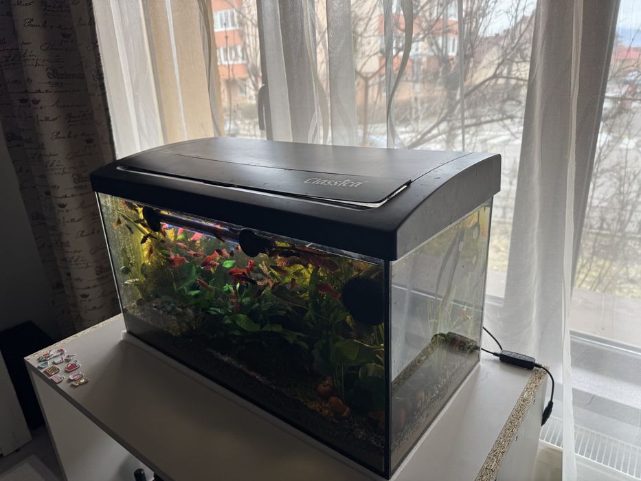 Vand acvariu cu capac classica 60 l volum