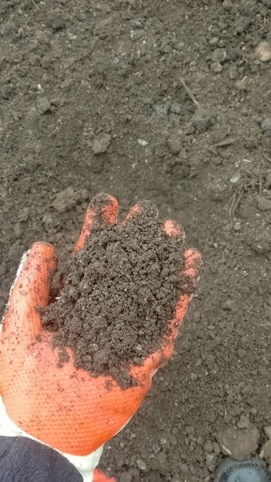 Қара топрақ Черназём