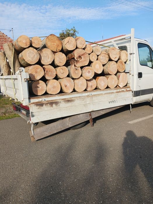 Lemn de esență tare Fag