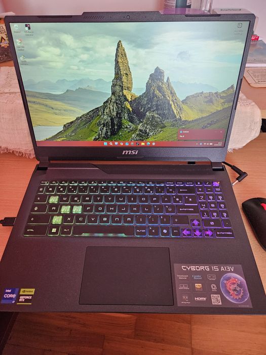 Laptop MSI Cyborg 15, A13V