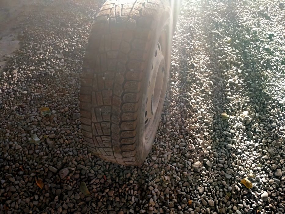 Продам зимние шины на 15 без дисков