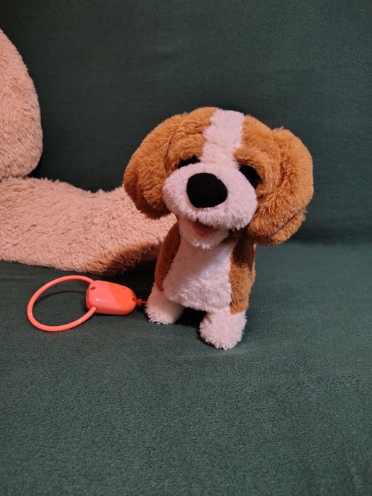 Zigo, Cățelușul Beagle Interactiv