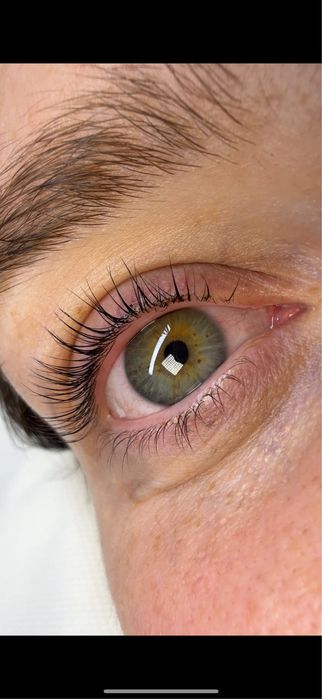 Curs laminare gene&sprancene