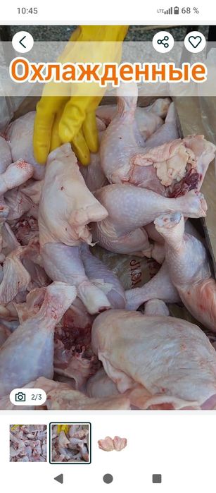 Окорчка филе крыло