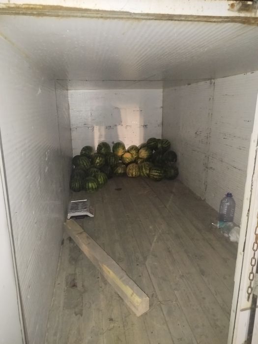 Gazel bort holati yaxwi srocna sotiladi 550$ bervoriladi