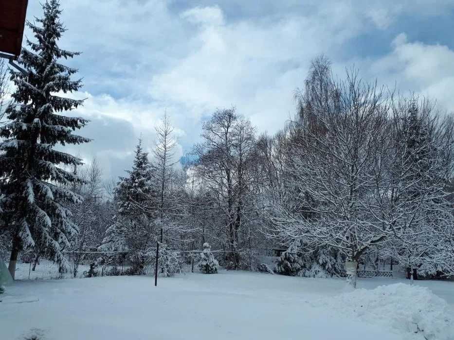 Ofertă Revelion 2026-2027 Pensiune Alpin BRAN