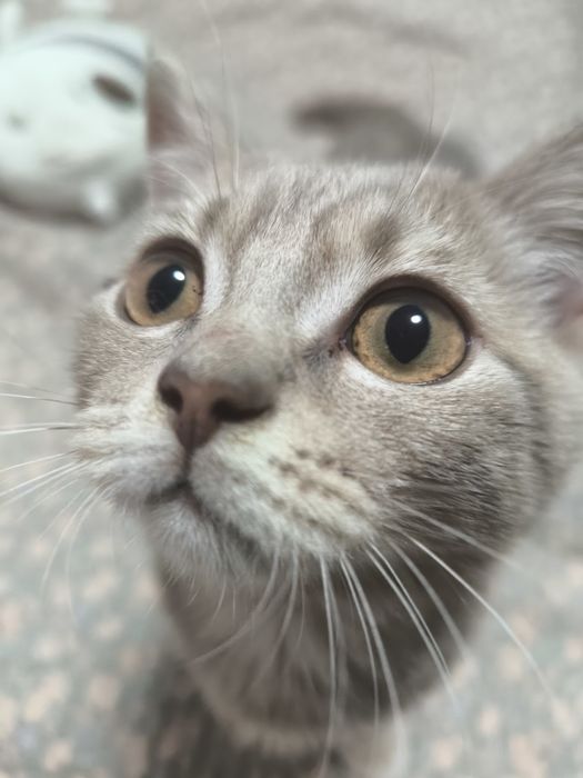 Вязка вязка вязка