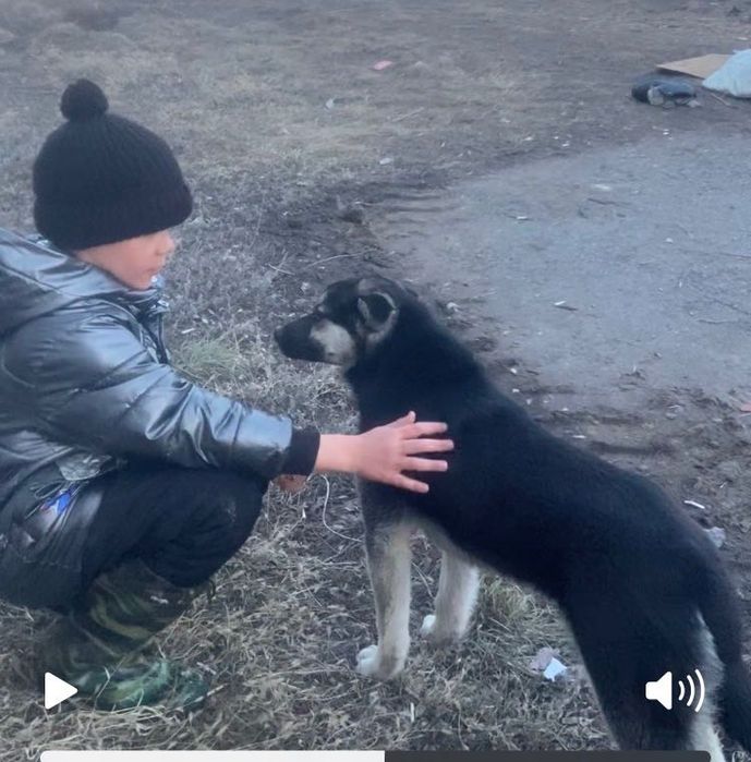 Пацанчик – не хулиганчик