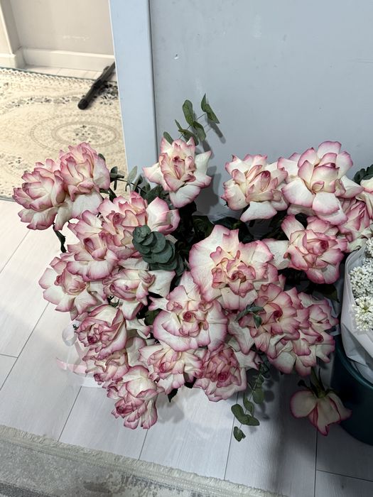 Продам цветы свежие