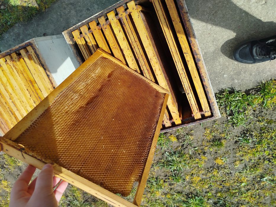 Rame stupi 1/1 clădite