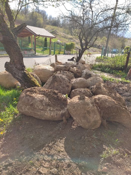 Камъни (Витошки морени)