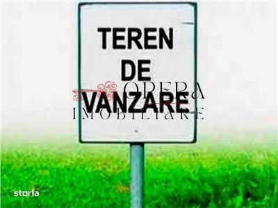 Teren intravilan, 1116 m.p., de vanzare, Valea Ursului - Iasi