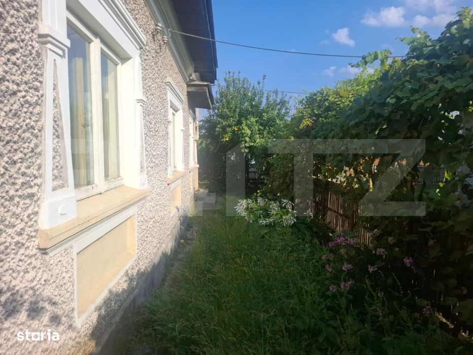 Proprietate cu 2 case, 2.100 mp teren si multiple anexe