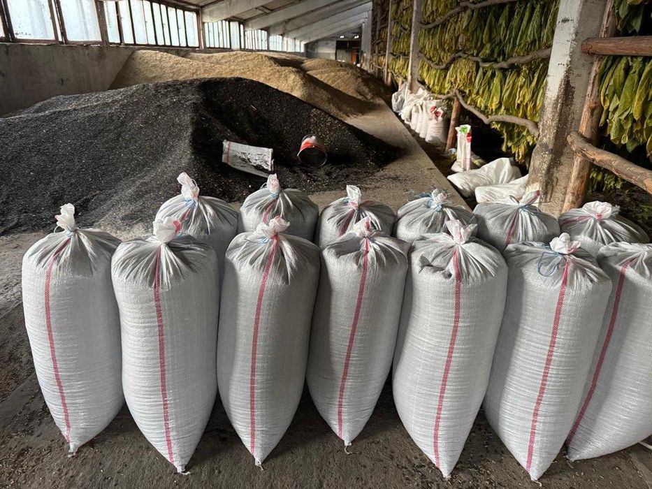 Grau spelta -5 to (2lei/kg), srot floarea soarelui (2 lei/kg), MS