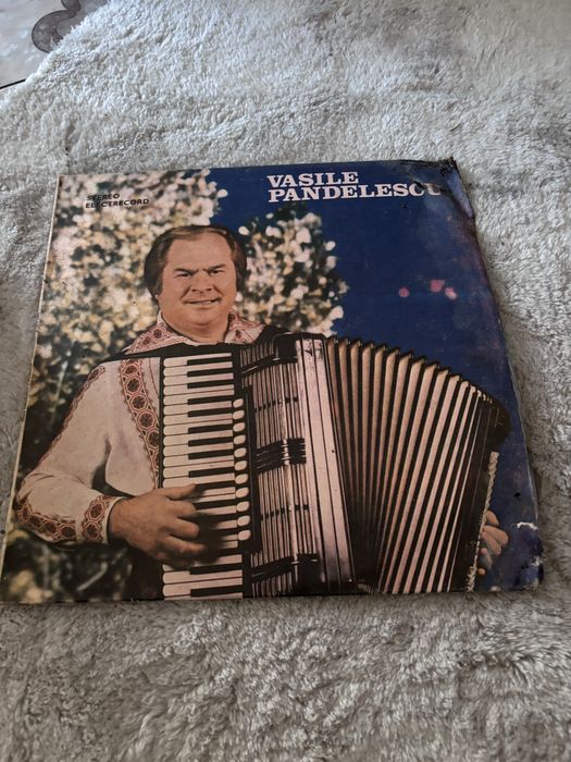 Discuri vinilin