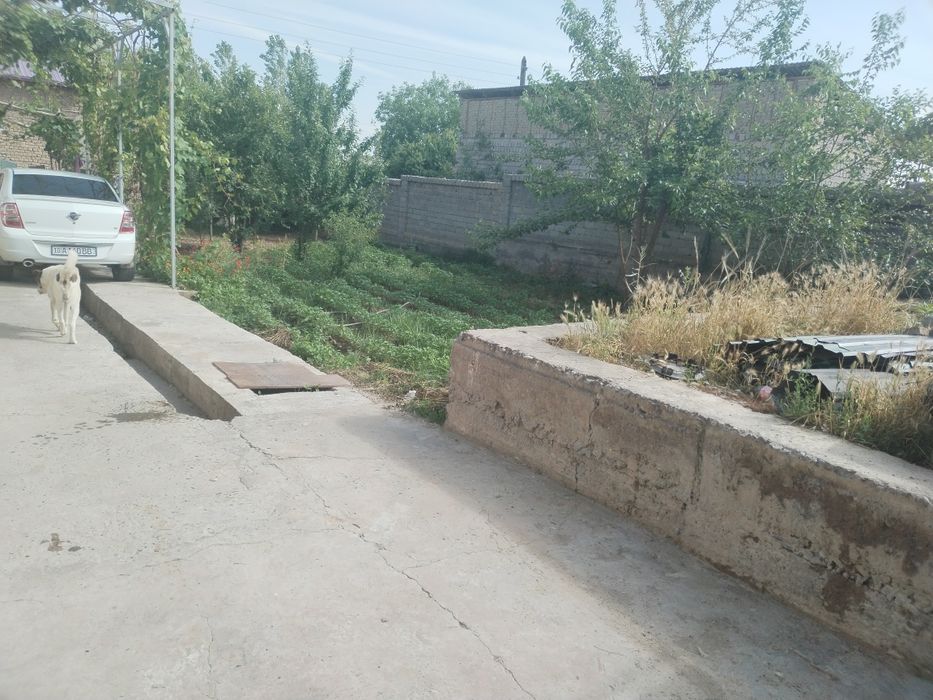 Uchastka sotiladi zangota solnichnida