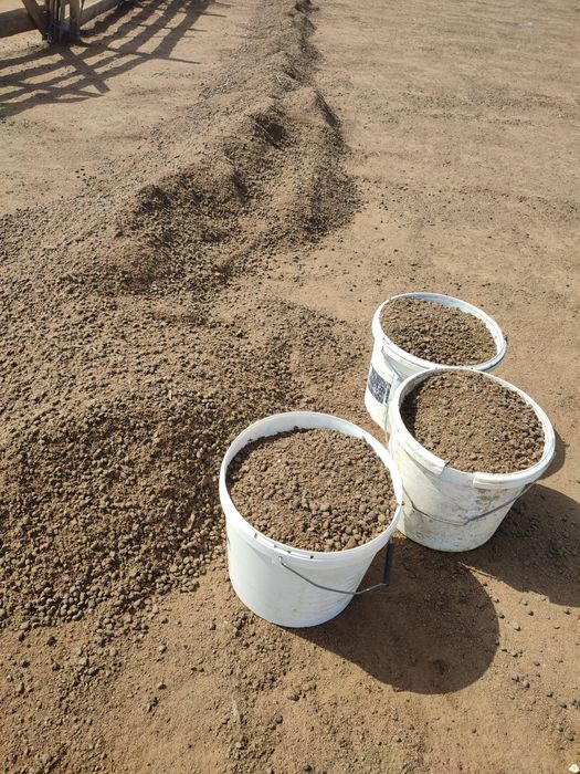 Vând bălegar de oaie la sac