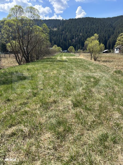 Teren intravilan, 2107 mp, str. Argestru, Vatra Dornei