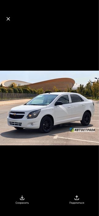 Cobalt midnight MCM nalichida