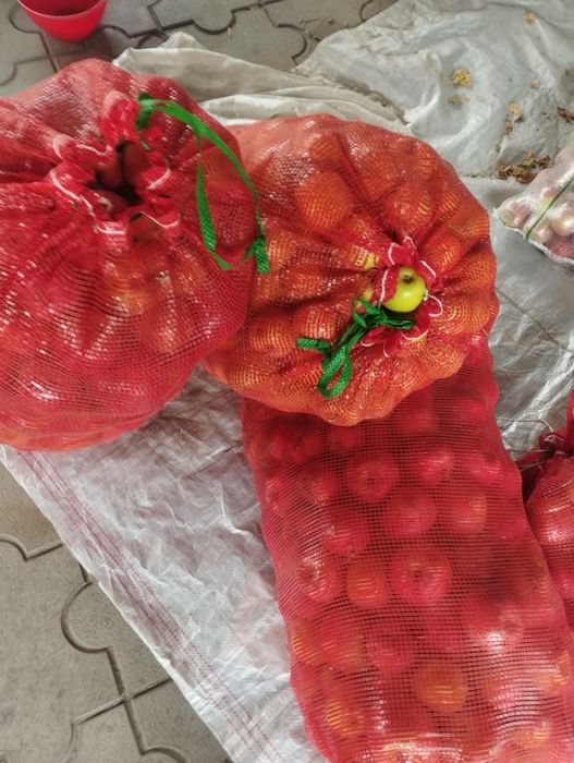Яблоки сорт адерлед кисло сладкий