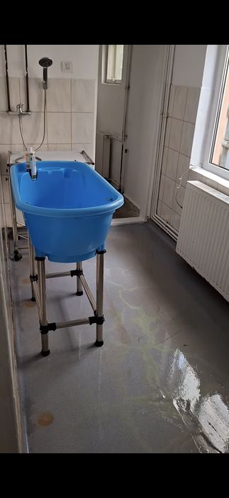 Vand cada grooming  600 negociabil