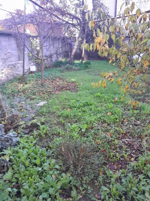 Дава се под наем Етаж от къща в Стара Загора, Казански - изток - 40 кв.м за 193.8 € - Снимка #1