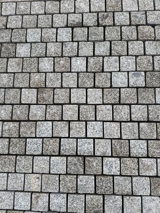 Bruchatka Koksaroy kolitiy