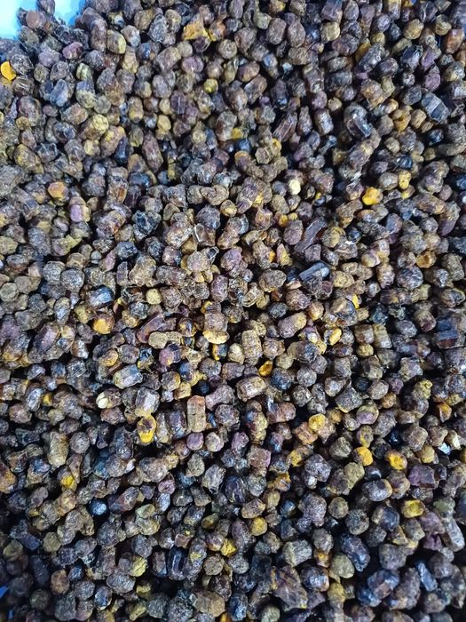 Перга пчелиная(пчелиный хлеб)