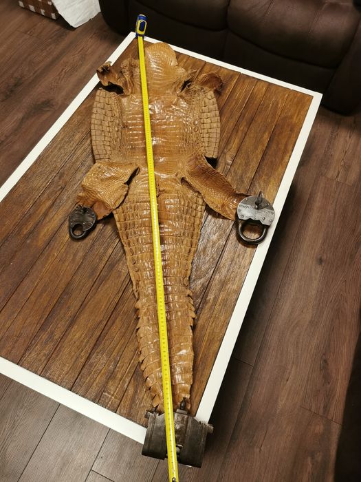 Обработена кожа 145 см.