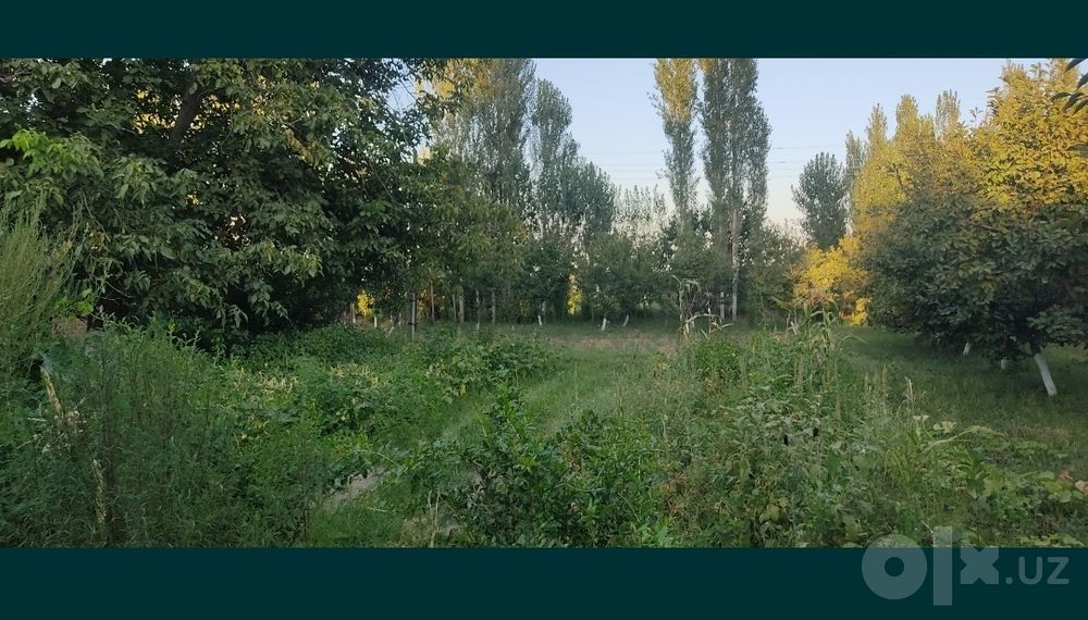 Ховли сотилади Янгибозорда