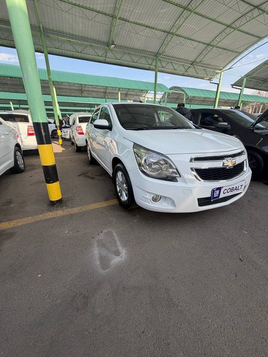 SROCHNA sotiladi oq kobalt