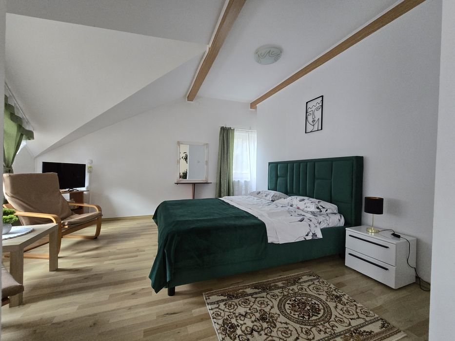 Pensiunea Valea Albă/ Crăciun ,Revelion