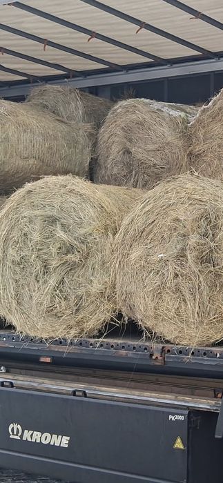 Baloti fan rotunzi 1,2m x1,2.min.40.Oferta 210 lei.Luni livrare.