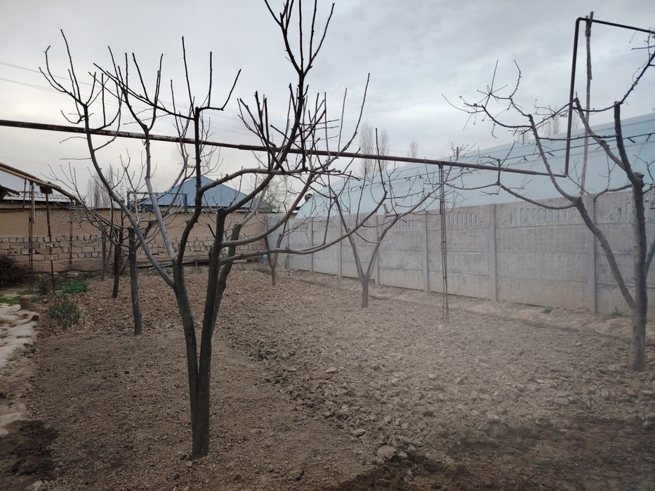 Дом с земельным участком