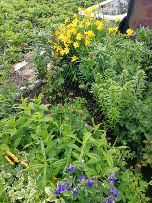 Продам дачу 2 этажа со горизонт общество