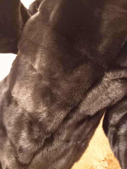 Продам шубу новую