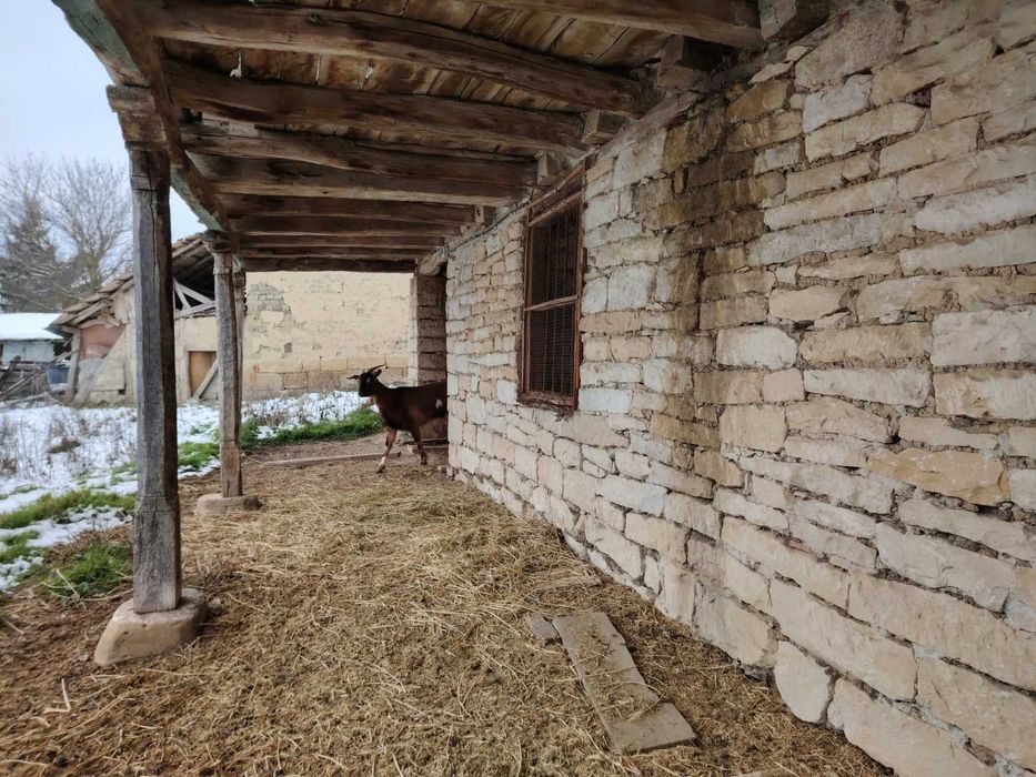 Къща с. Еленово, общ.Попово