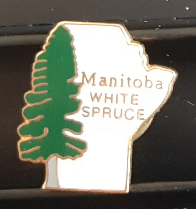 Значки для коллекции.