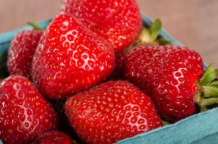 ВЕЛИКОЛЕПЕН БИО Разсад целогодишни Ягоди и Малини