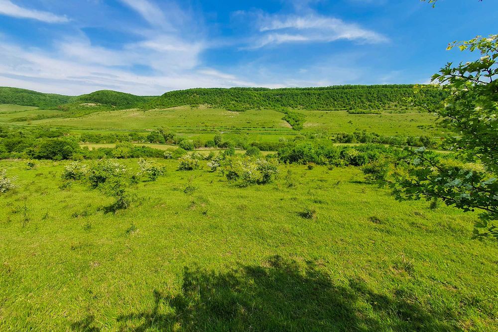 Teren superb în satul Ciumăfaia, comuna Borșa - Cluj