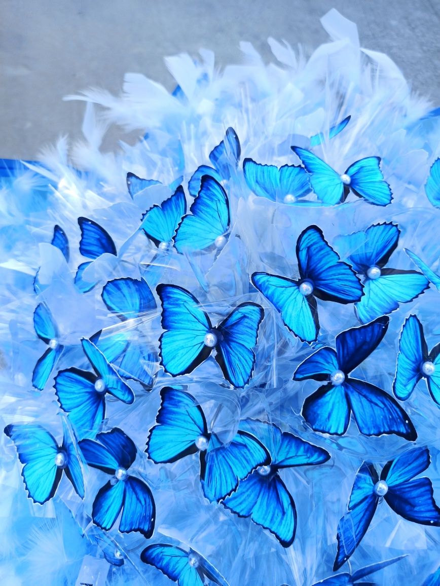Цветок-бабочка: уход в домашних условиях