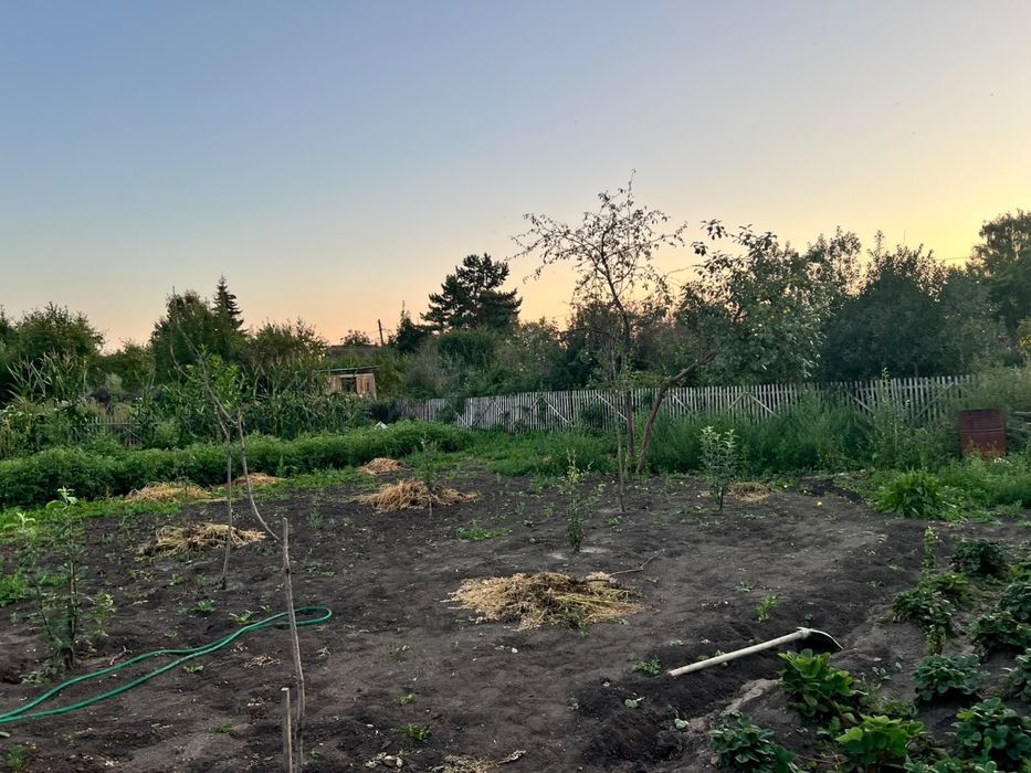 Продам дачу в д/ошестве ромашка